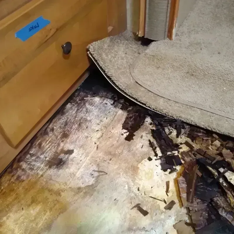 Wood Floor Water Damage in Westview, FL